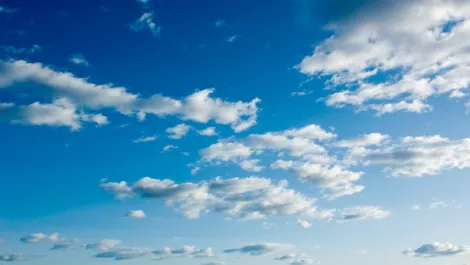 Kroll survey reveals cloud growth
