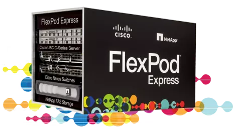 Cisco customers gain speed and flexibility with FlexPod