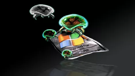 Windows XP EOS: What now for businesses?