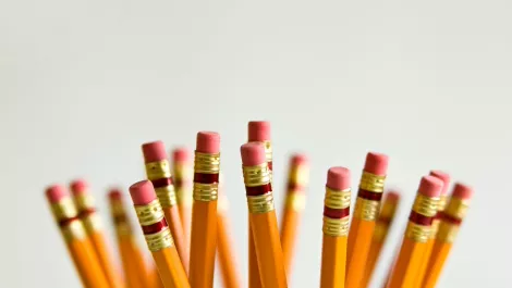 Kiwi teachers top professionalism report - calls to scrap charter schools follow