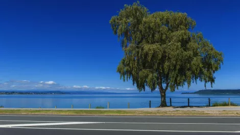 Taupo tech success story great news for regional economies