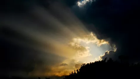 Commvault GO a bright light amongst imminent storm