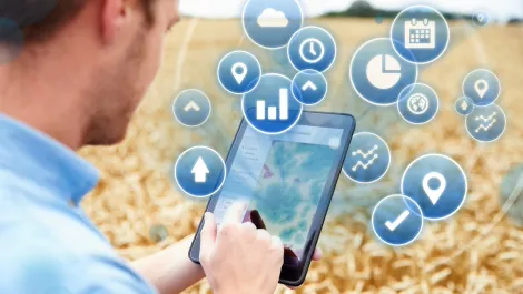 Frost & Sullivan tells: The $500+ million local agritech opportunity
