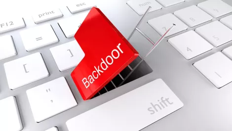 DDoS: A decoy to the back door, survey finds