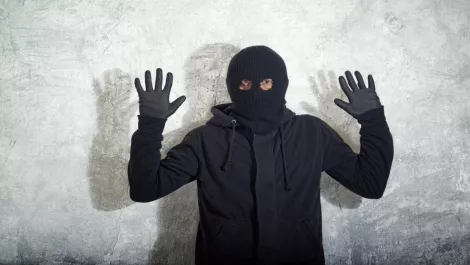 'Avalanche Network' botnet hideout busted; ESET offers cleanup help