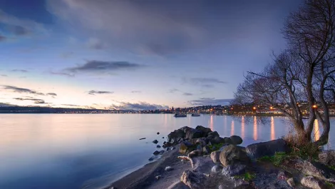 Taupō talks tech: The local Kiwi firms transforming business from the ground up
