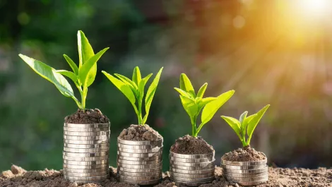 Registration for Sprout Accelerator open; $500,000 up for grabs