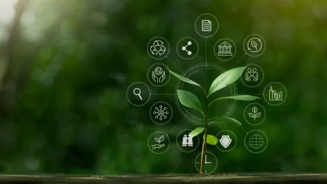 HID launches Seos access security cards made from bamboo