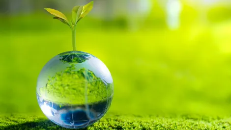 Agritech receives $29.9m injection in recent budget