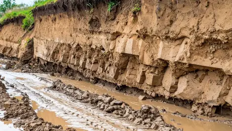 How are cities responding to extreme weather?